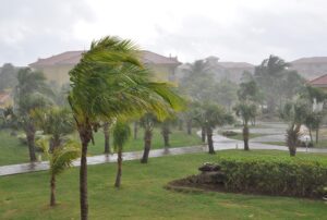 hurricane roof repair services