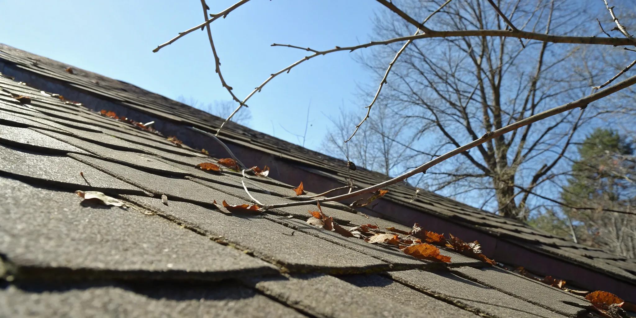 Roof with shingles damaged by wind, a common reason for an insurance coverage claim.
